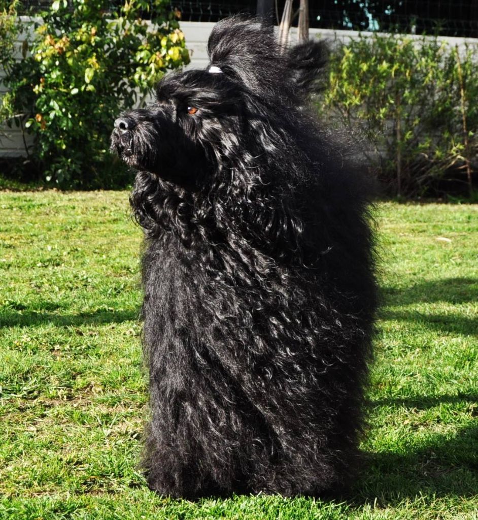 Happily's Unstoppable